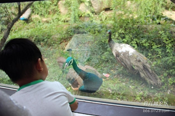 宝宝高热惊厥会哭吗,宝宝高热出汗了还要盖被子吗