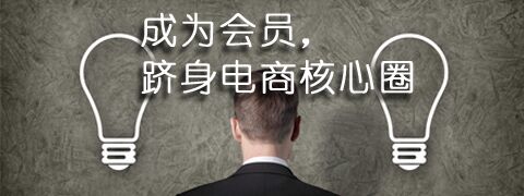 拓展国际市场战略,拓展国际市场前景