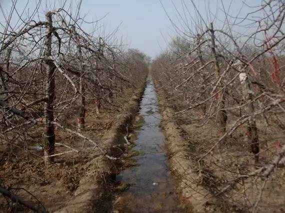 农技助春耕视频大全,苹果园二月份管理要点