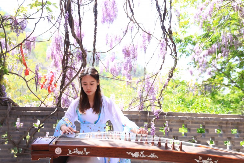 古逸黄县馨香龙口