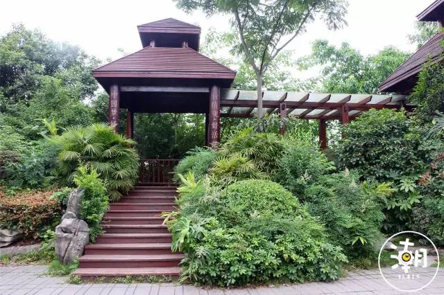 重庆桂花园景点,重庆桂花公园免费