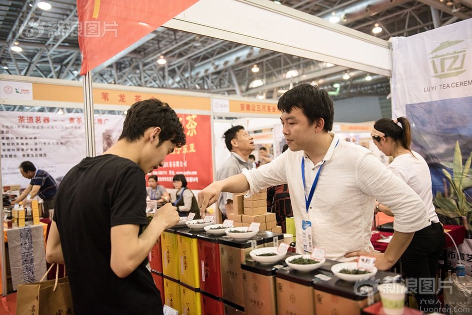 六安瓜片纯手工制作,新茶六安瓜片手工