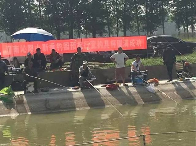 沁阳钓鱼比赛,河南永城垂钓比赛