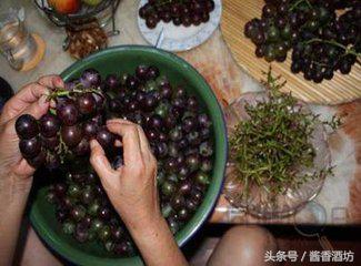 酒制作方法酿酒技术,酒酿造技术学习