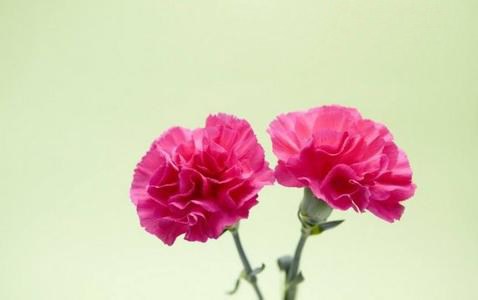 怎么会得上宫颈炎的,怎么才会判定为宫颈炎