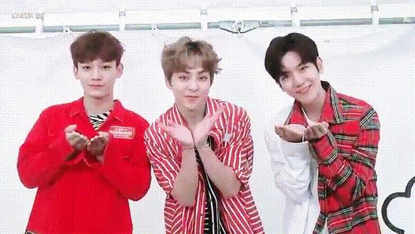 exo伯贤cbx,exocbx小分队