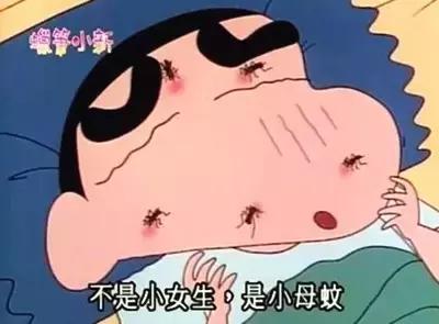 怎么对付蟑螂和蚊子和蚂蚁,家里有蟑螂蚂蚁蚊子老鼠一招消灭