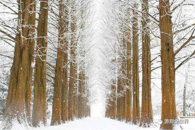 去韩国免税店便宜多少,韩国免税店真的便宜吗