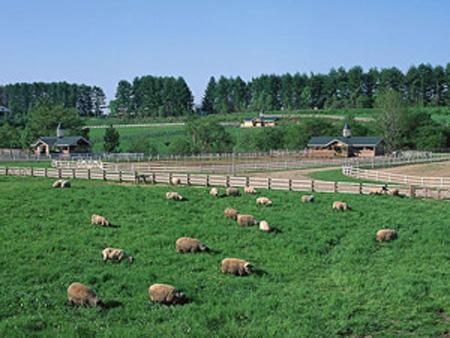 在越南最赚钱的十大生意,十大前景最好的生意最赚钱项目