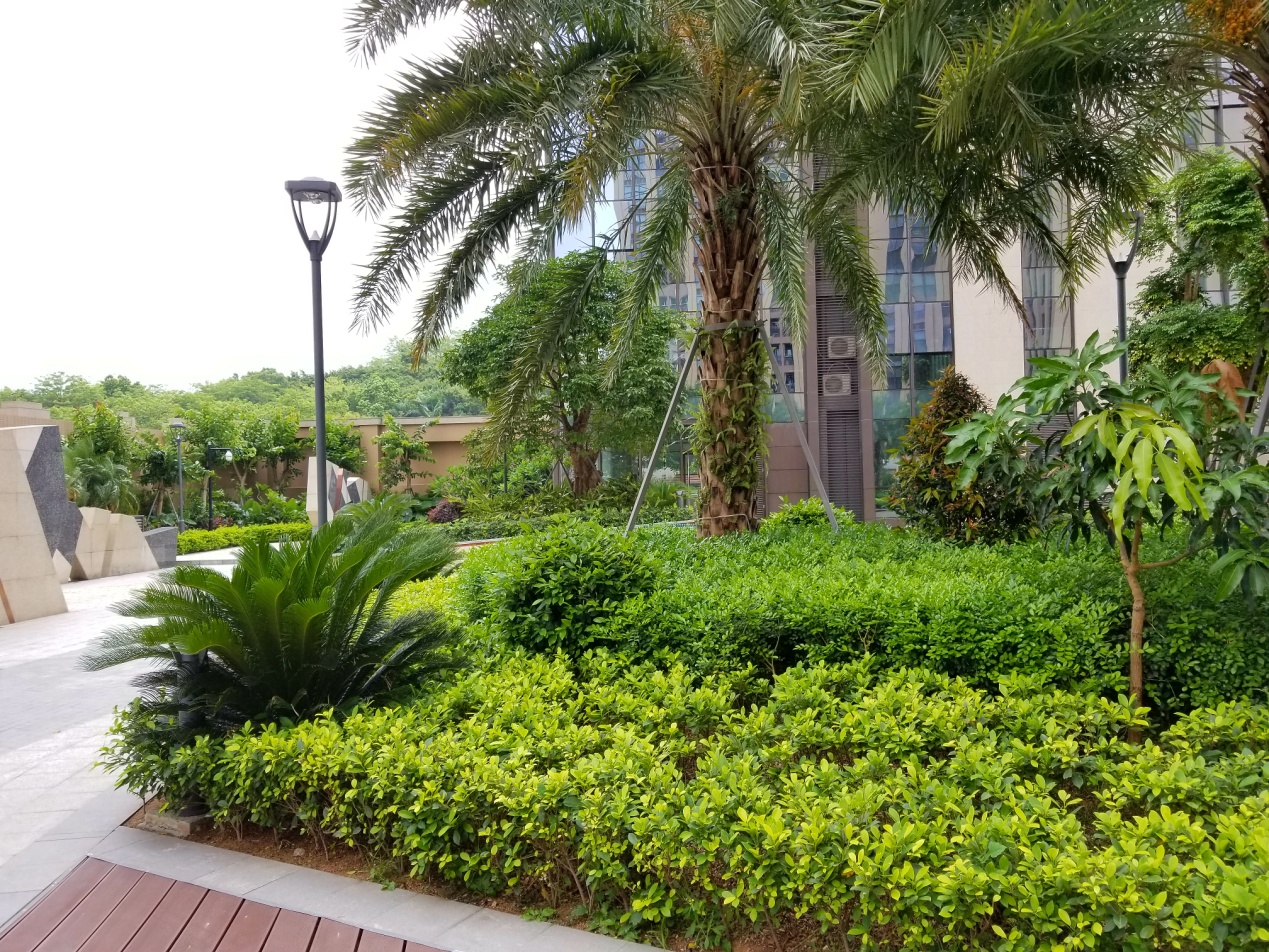 不愧是安卓机皇，三星GalaxyS8+上手一星期体验