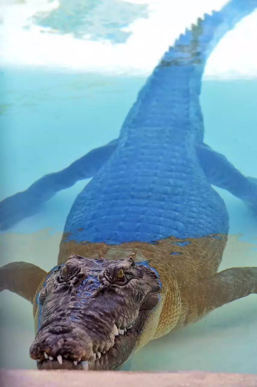 北石：这个由一群流放者建立的国家如今居然这么发达和美丽