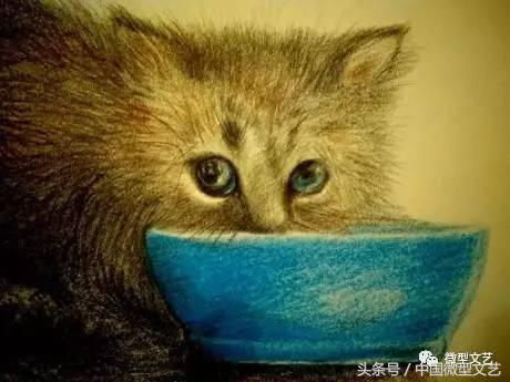 王子红尘品读美静杯诗歌