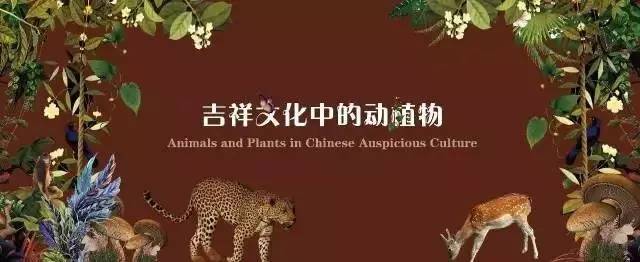 盘点今年那些错失高考的学生,盘点那些错过的遗憾