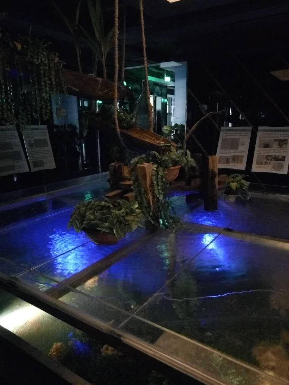 皇马假日南海博物馆主题酒店,皇马假日海岛风情酒店