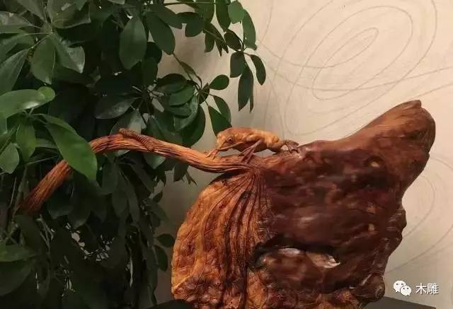 崖柏开裂会愈合吗,崖柏手串开裂一个月了怎么办