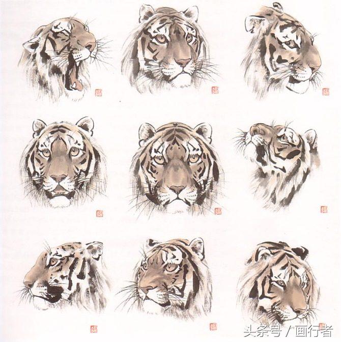 画虎年的老虎,如何画虎年的老虎