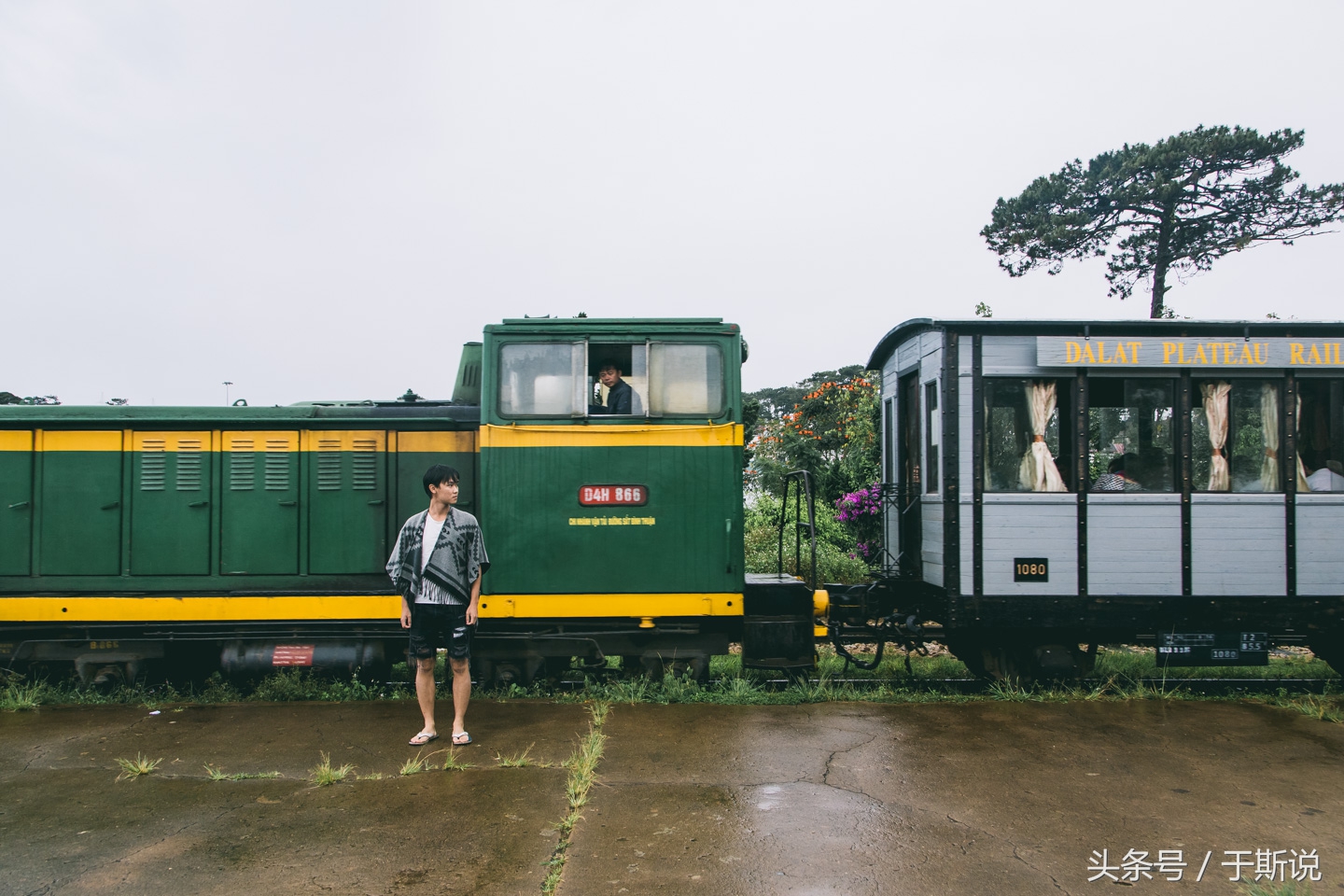 大叻值得去的地方,大叻旅游