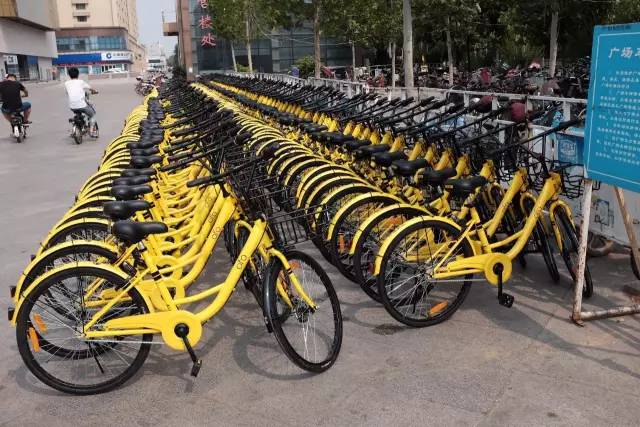 请你放过小黄车!一周时间,你们把它们虐成了什么样