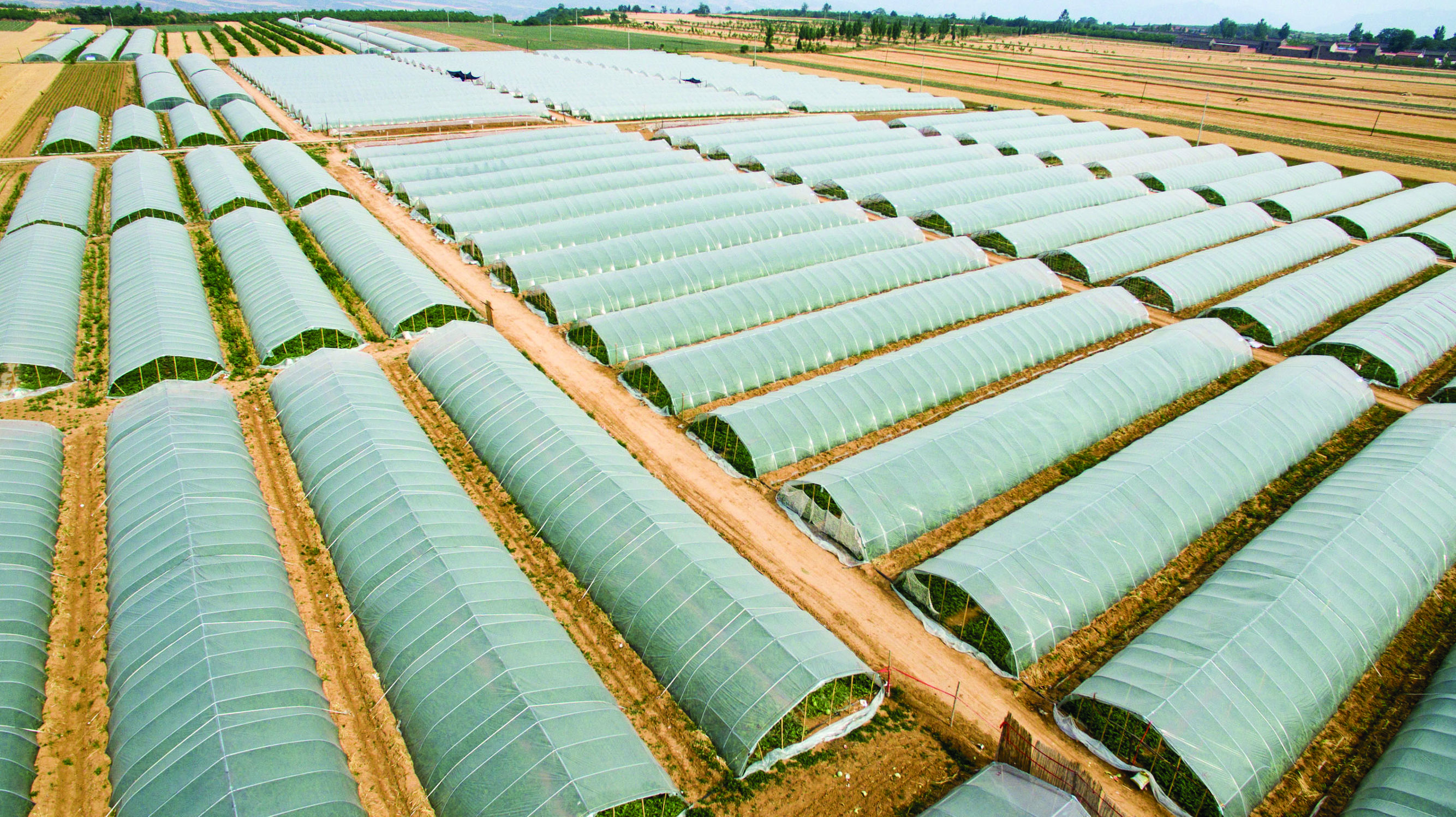 奋力书写新时代奋斗答卷,奋力书写脱贫奔小康的酉阳答卷