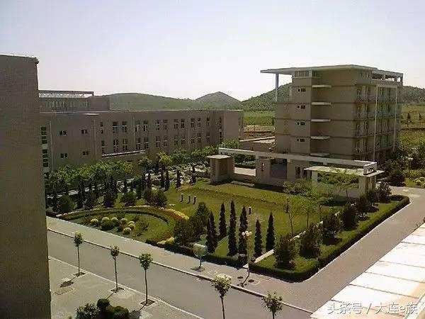 大连沙河口西岗中山哪个区最大,大连市区中山西岗沙河口