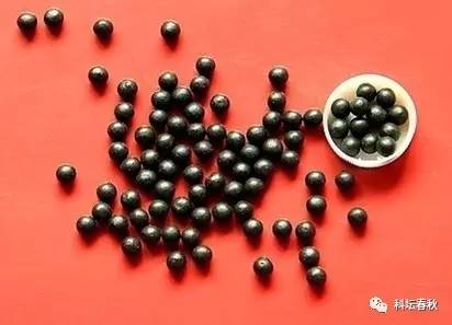 宋代宫廷御药的新生之路，6角钱一粒的小药丸背后不为人知的故事