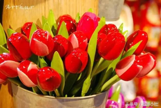 经久不衰的荷兰木鞋，靠的是什么魅力捕获大家的欢心？