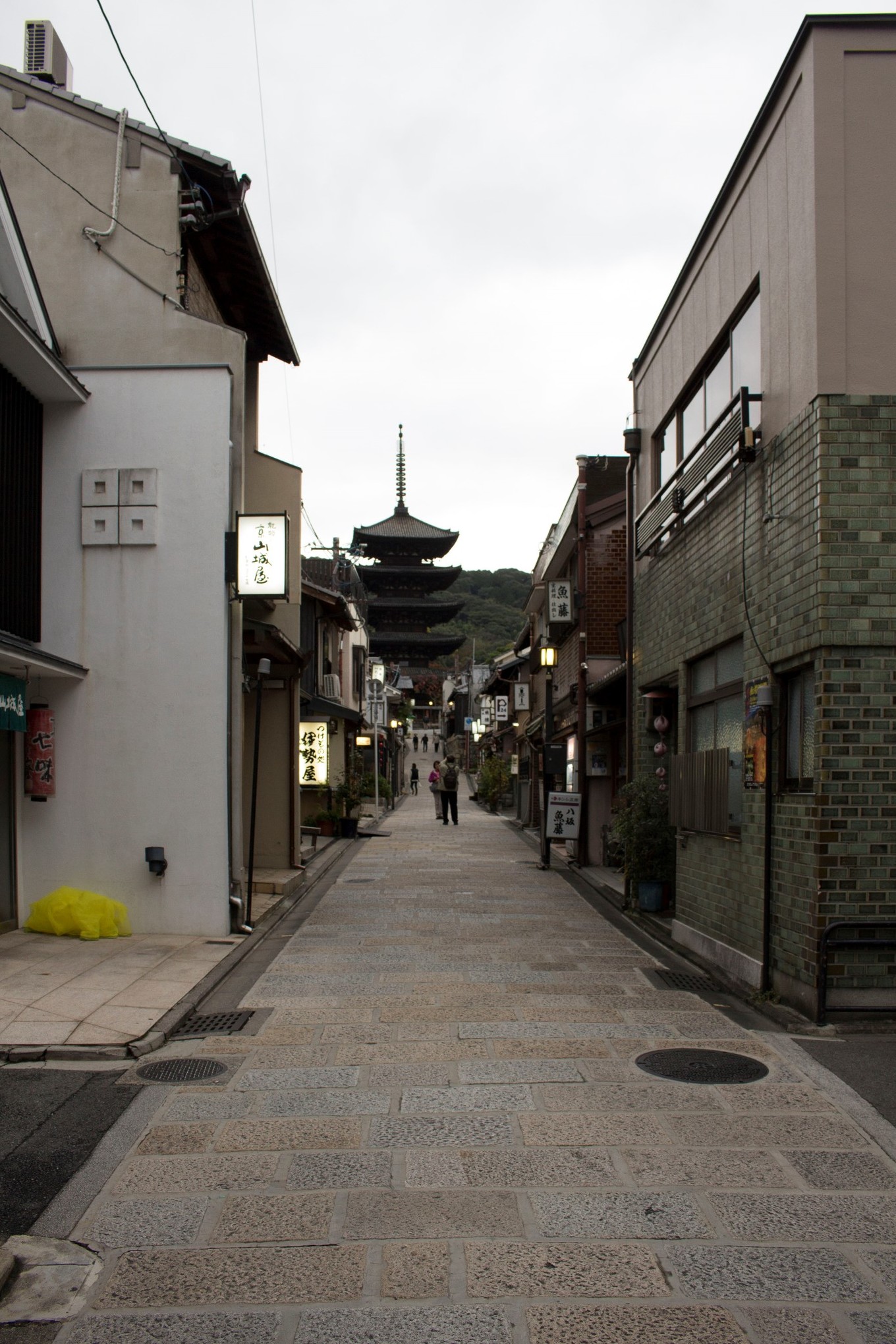 日本物语落樱下的邂逅,浪漫的日本物语