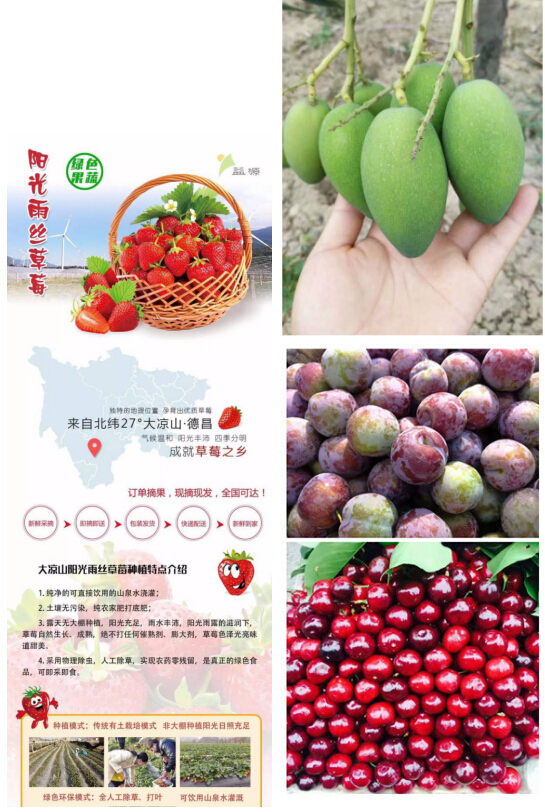 西昌青少年足球联赛,2020成都市青少年足球联赛凉山