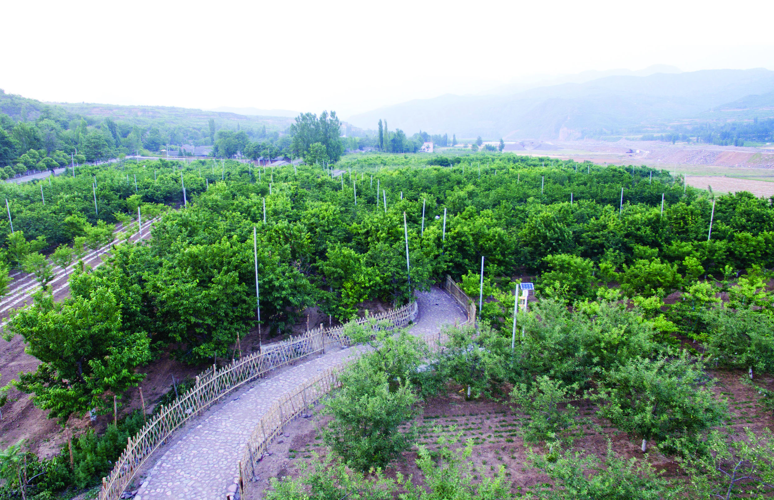 奋力书写新时代奋斗答卷,奋力书写脱贫奔小康的酉阳答卷