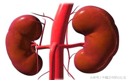 百病之源有多可怕,疾病到底有多可怕