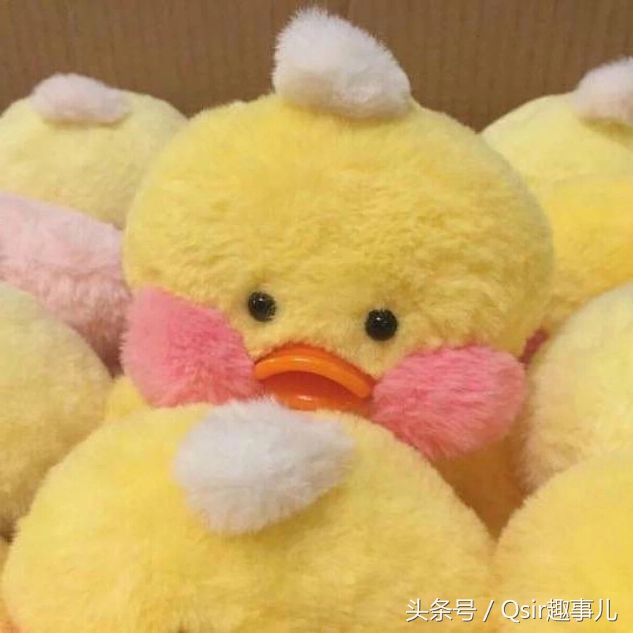 搞笑图集（7）-玻尿酸打多了怎么办？那就来当表情包新星啊