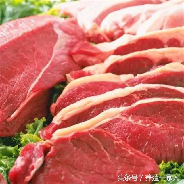 全牛各部位分割图解与吃法,牛肉超齐全的顶级牛肉知识和做法