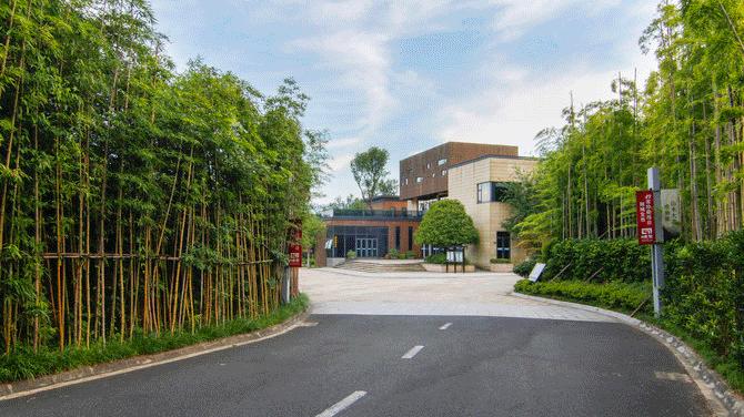 上海附近古镇一日游自驾游,上海周边古镇自驾游景点推荐