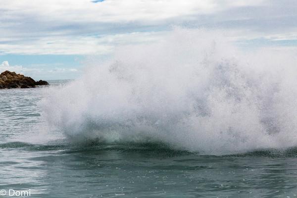 一顿海鲜大餐都有什么,海鲜大餐又便宜又营养又好吃