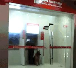 右勾拳高清大图,右勾拳解析