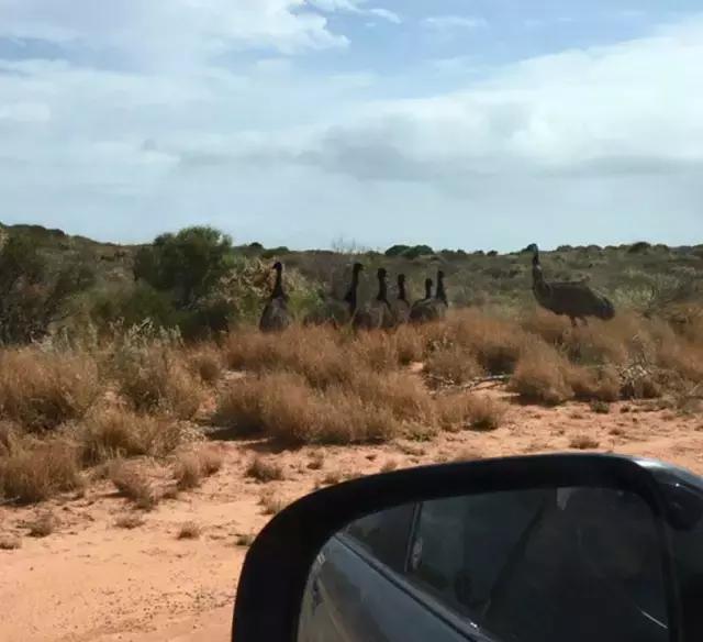 西澳珀斯游记,西澳游记攻略