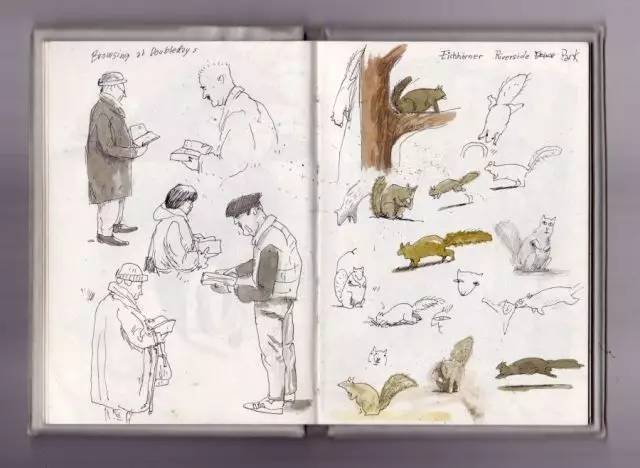 树丛|大眼睛小眼珠,呆萌可爱舍夫勒