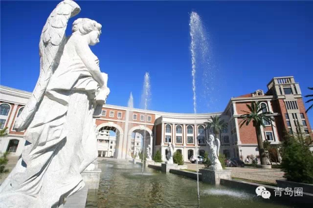 青岛最好的高中排名前十名学校,青岛十大最贵的学校在黄岛