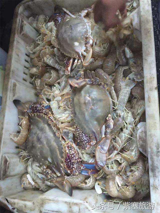 河北田园农家乐攻略,河北海边最有特色的海边农家乐