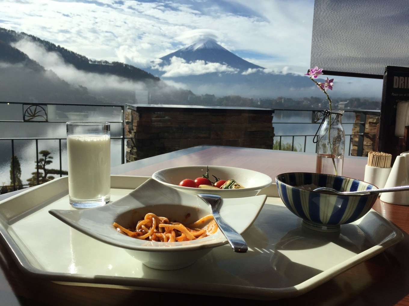 日本物语落樱下的邂逅,浪漫的日本物语