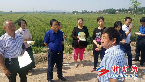 忻州市政协座谈会,忻州市政协调研