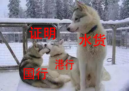 怎么区别11pro国行港行水货,港版和水货怎么区分