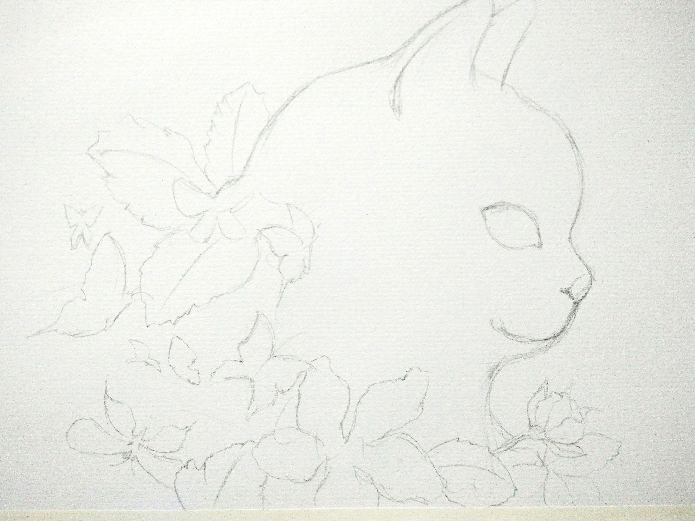 猫咪快速学会的技巧,猫咪快速教学