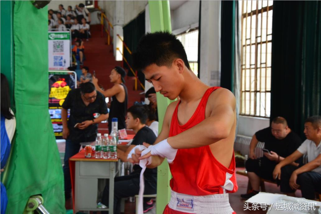 拳力以赴行动派综艺免费观看,山西第16届运动会拳击