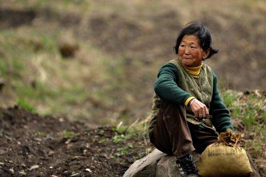 巫师真的有那么神奇吗,巫师作用