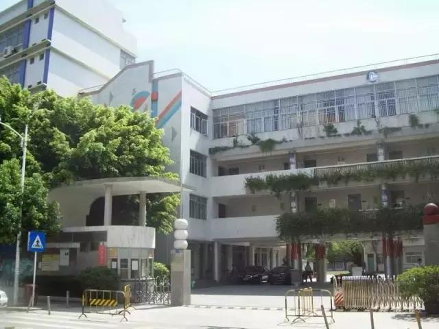 深圳龙岗区私立小学排名一览表,深圳龙岗坂田小学排名一览表