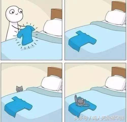 以静制动一招制敌,抓到一只猫如何让它平静下来