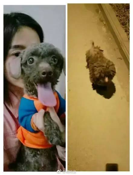 桌边社20170615：这么热的天气出门，撒孜然比喷香水更诱人