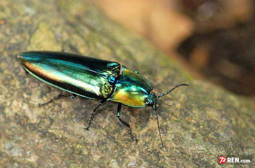 回忆一下2018年的神兽们,记录曾经神兽们的点点滴滴