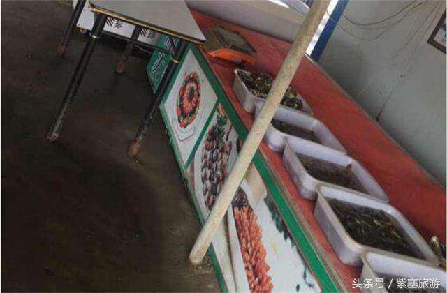 河北田园农家乐攻略,河北海边最有特色的海边农家乐